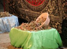 هفتمین جشن ملی پسته در رفسنجان آغاز شد
