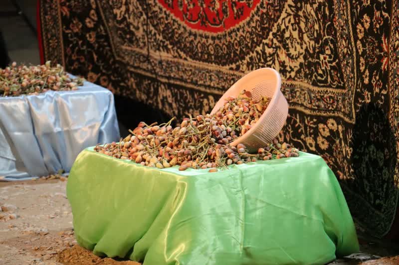 هفتمین جشن ملی پسته در رفسنجان آغاز شد