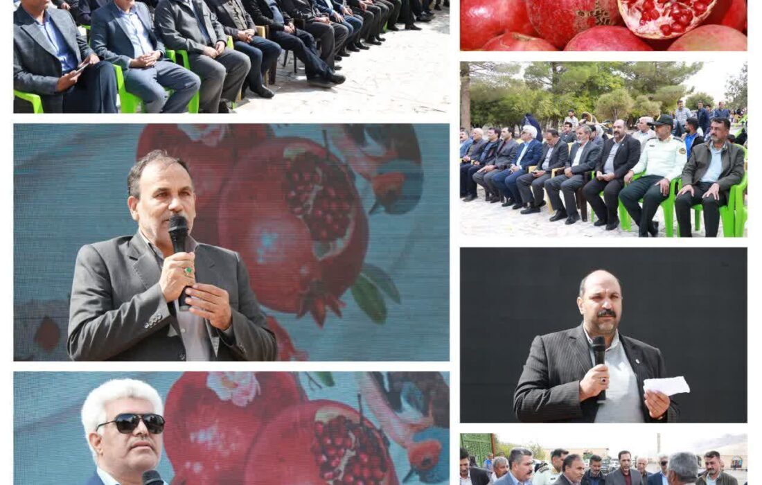سومین جشنواره انار در خنامان رفسنجان برگزار شد