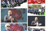 سومین جشنواره انار در خنامان رفسنجان برگزار شد