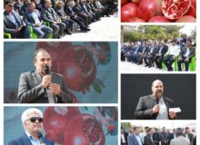 سومین جشنواره انار در خنامان رفسنجان برگزار شد