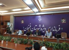 رفسنجان با قول فرماندار ؛ بر روی نوار اشتغال زایی