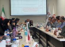 منطقه ویژه اقتصادی رفسنجان ، فرصتی برای جذب سرمایه خارجی و ایجاد صنایع پایین دستی مس